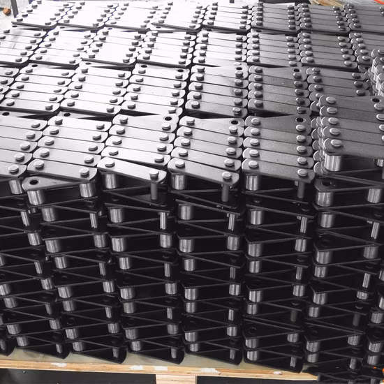 China Factory Custom Stainless Steel Transmission Scraper Conveyor Chain