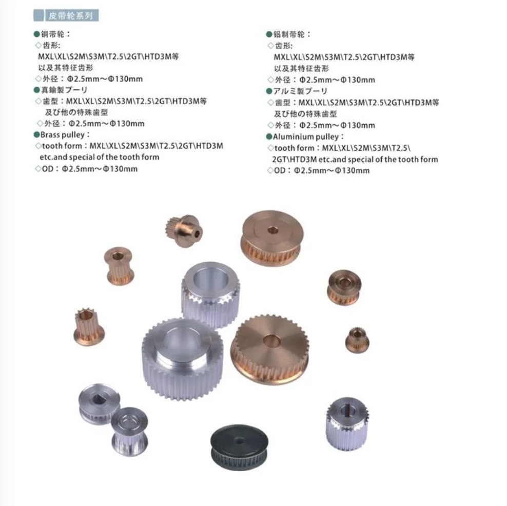 Precision Anti-Backlash Stainless Steel Worm Gear and Bronze Worms