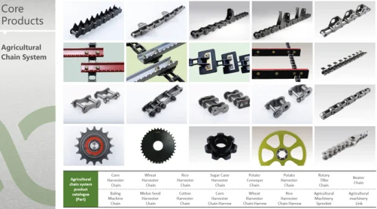 Cadenas de acero inoxidable Maquinaria agrícola libre de mantenimiento Cadena de rodillos de transmisión duradera de alta calidad